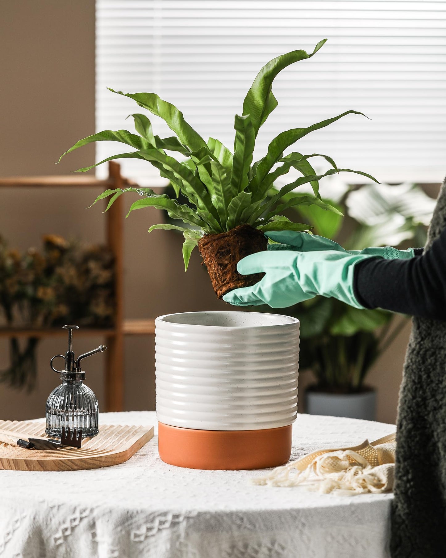Chubacoo Self Watering Plant Pot : 8 Inch Ceramic Planter with Drainage Hole & Water Storage Plus - Flowerpot for Indoor & Outdoor Plants (Cream White & Red-Brown)