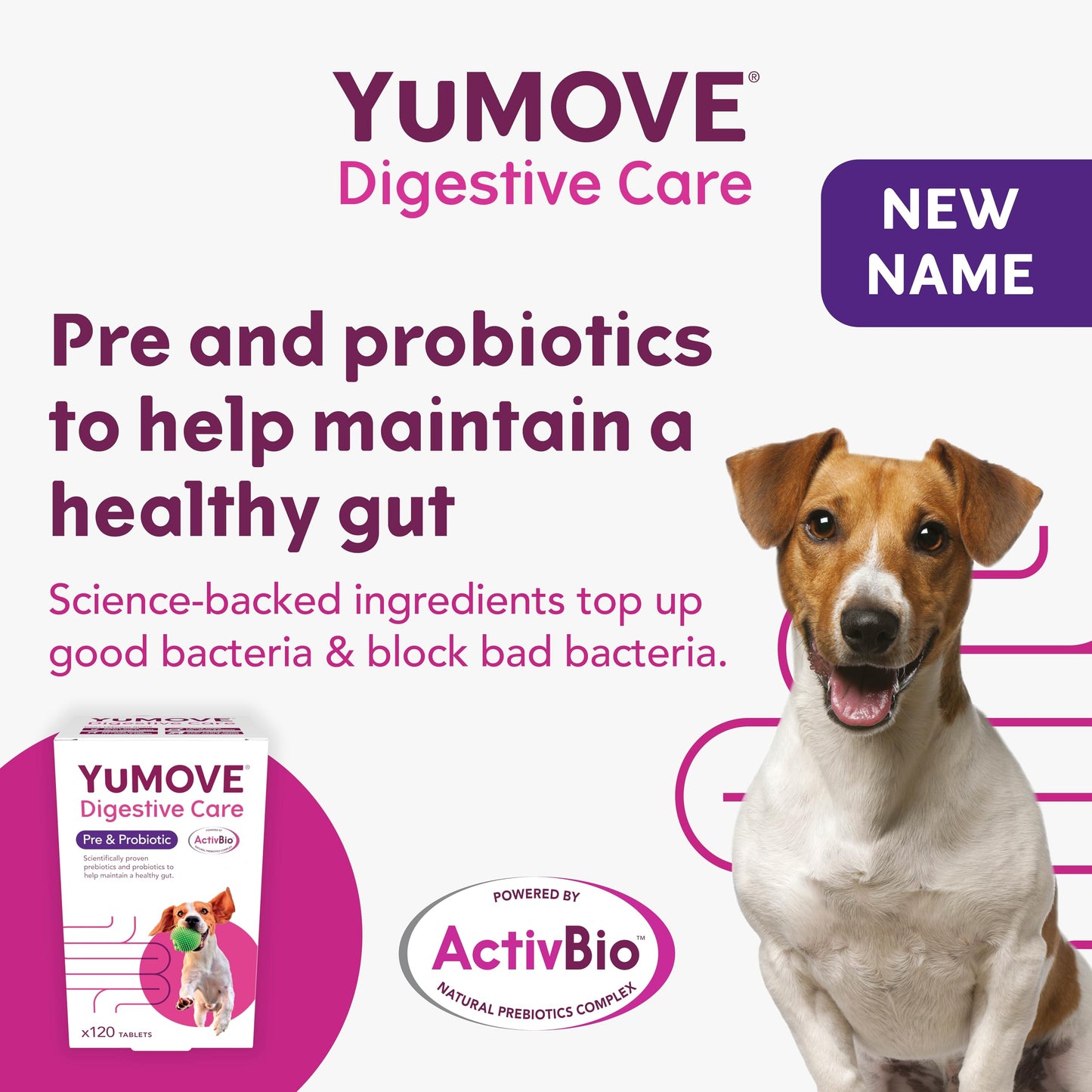 YuMOVE Digestive Care, Dog Pre and Probiotics Supplement for Gut Health and Digestive Support, All Ages and Breeds with Sensitive Digestion, 120 Tablets