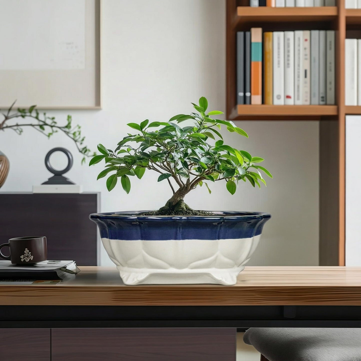 Teagas 11 Inch Succulent Planters - Ceramic Bonsai Pots with Drainage Hole, Bonsai Planter for Indoor Outdoor Plants, Large Shallow Planter, Patio Garden Decor, Gifts for Plant Lover, Oval Beige-Blue