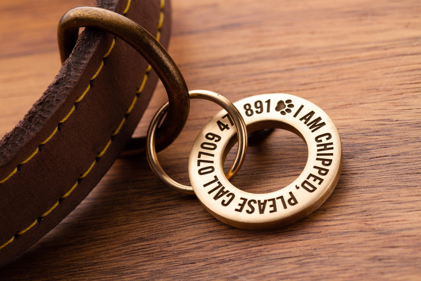 UKR Designs Solid Brass or Stainless Steel, Professionally Engraved & Polished Dog/Pet ID Tag