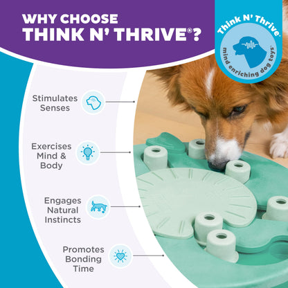 Hound Nina Ottosson Interactive Dog Toys - Advanced Level 3 - Dog Puzzle Toys & Treat Dispenser for Boredom Relief, Mental Stimulation & Dog Enrichment, Reduces Anxiety, Engages Smart Dogs