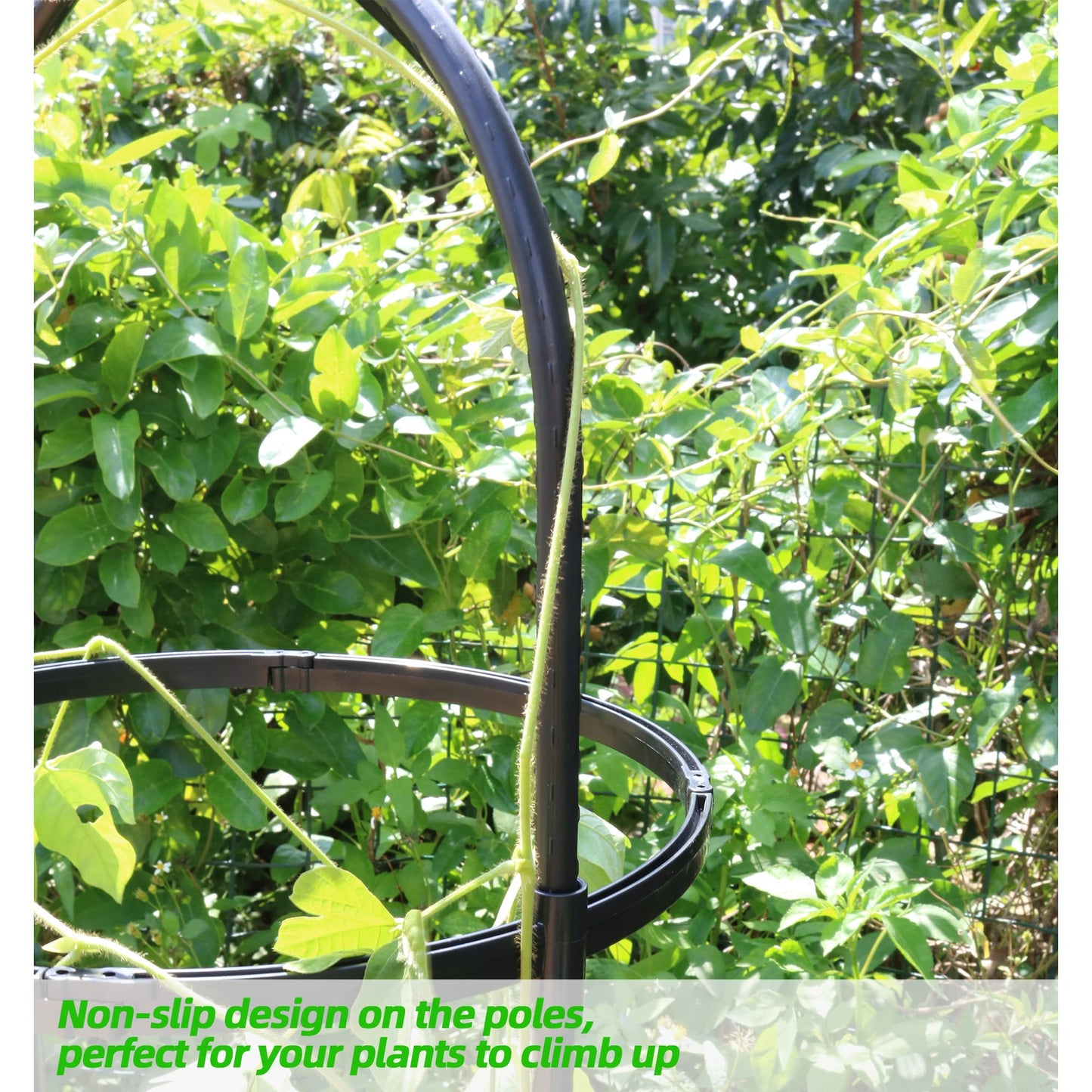 Garden Trellis for Climbing Plants, Rustproof Metal Pipe with Heavy Duty 6ft, Garden Outdoor Indoor Potted Plant Support（Black）