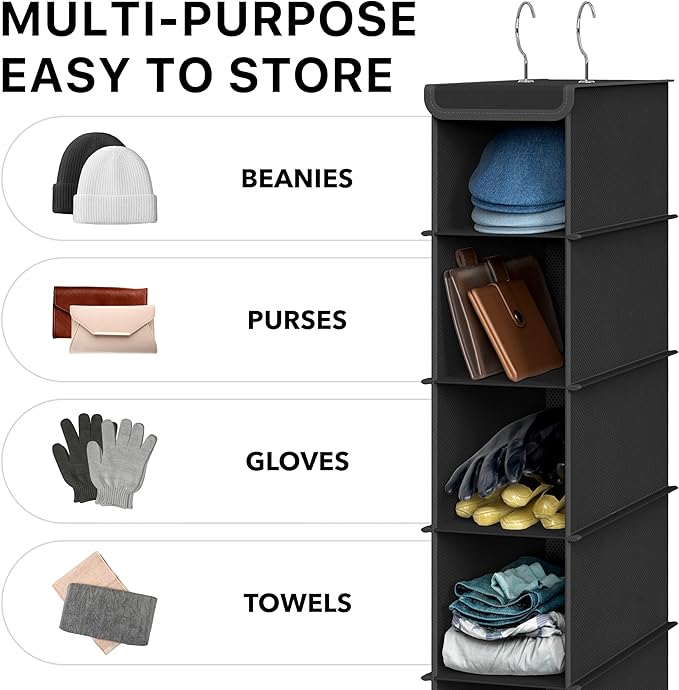 Simple Houseware 10 Shelves Closet Hanging Shoe Organizer