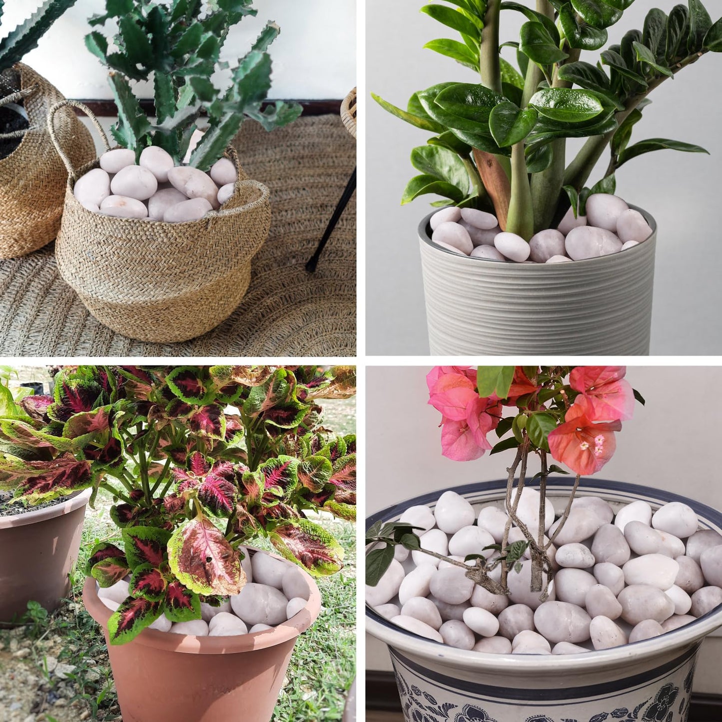 Lechloris 20Ib White River Rocks for Landscaping- High Polished Pebbles for Plants-Garden Decorative Stones-1-2 Large Plant Rocks,Ideal for Aquarium, Home Decor