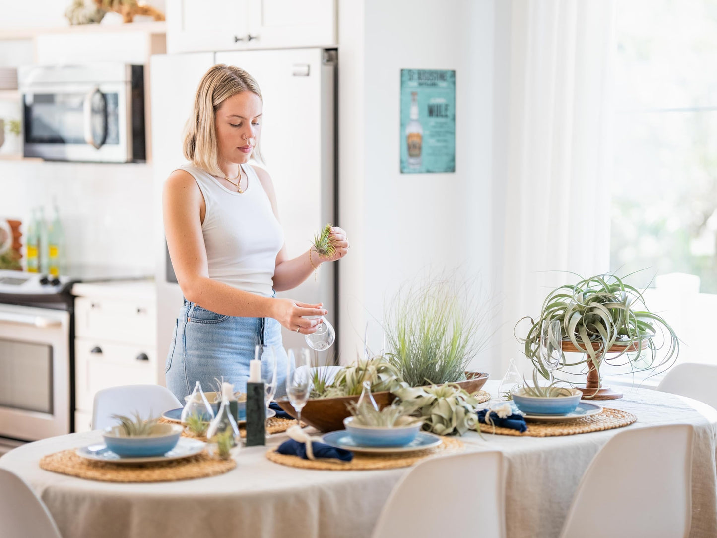 Air Plant Shop Fully Assembled Tillandsia Air Plant Dish Garden in Black Glazed Container - Wholesale and Bulk - Succulents - Live Tillandsia - Easy Care Indoor and Outdoor House Plants