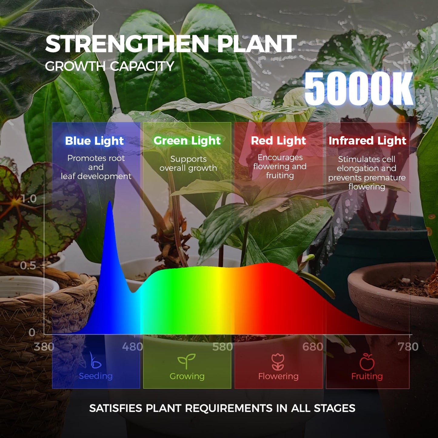 Barrina LP600 Mini Greenhouse with Grow Lights, 5-Tier Plant Stand with 100W TX-S25 1.6FT 5000K Full Spectrum Plant Shelf with Tent, Timer & Thermometer for for Seed Trays Growth, 23.6 x 13.8 x 70.9IN