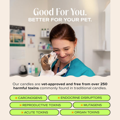 Companion Candles You Got This! Pet-Friendly Scented Candle – Tropical Nectar & Fruits Fragrance - Coconut Soy Wax Candle with Wooden Wick, Approx. 50-Hour Burn Time, Made in USA, 11.8 oz