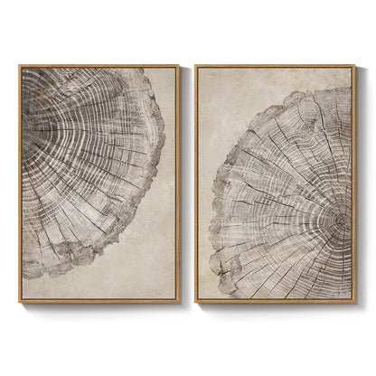 2 Piece Framed Neutral Tree Rings Wall Art for Living Room, Large Modern Wood Grain Canvas Prints Paintings, Farmhouse Nature Wabi Sabi Artwork Decor for Bedroom Hallway 24x36 Inch