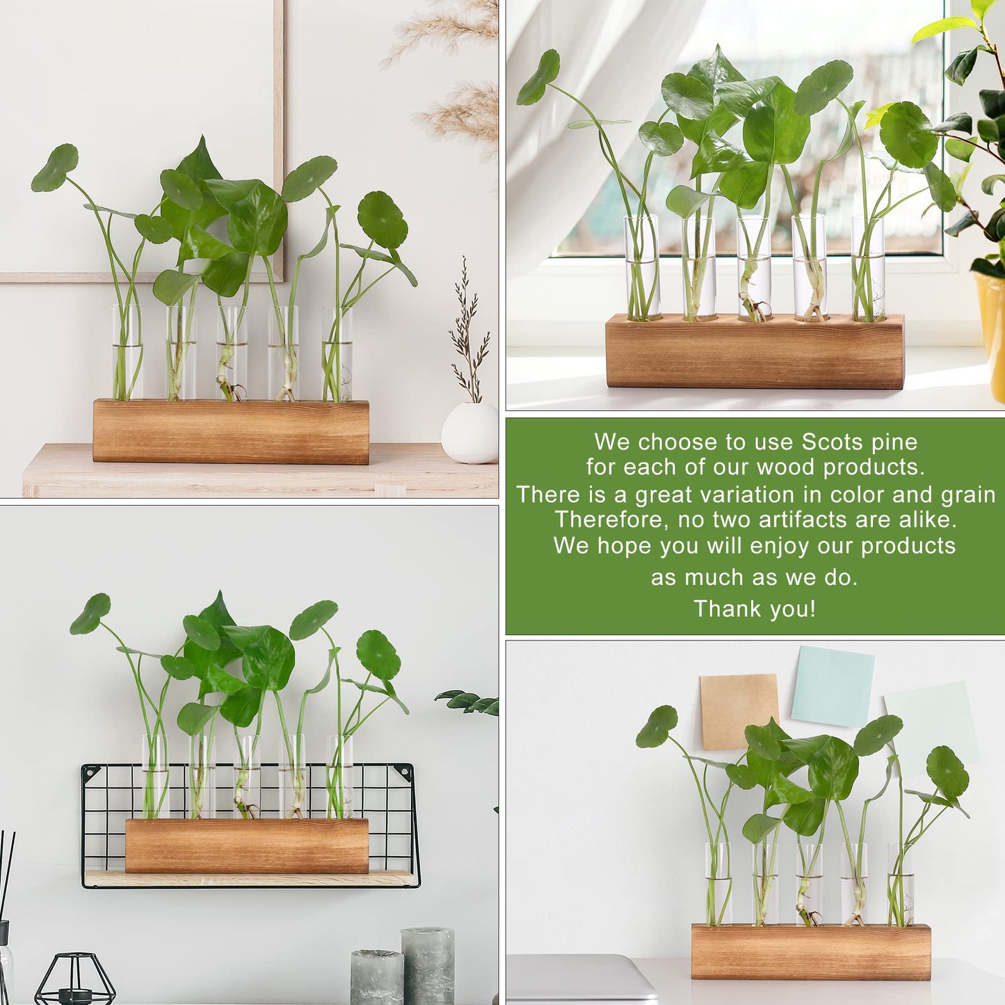 YIBOT Propagation Stations, Plant Terrarium with Wooden Stand, 5 Glass Test Tubes Vases, Birthday Gardening Gifts for Women Mom Plant Lovers, Home Office Desk Decor