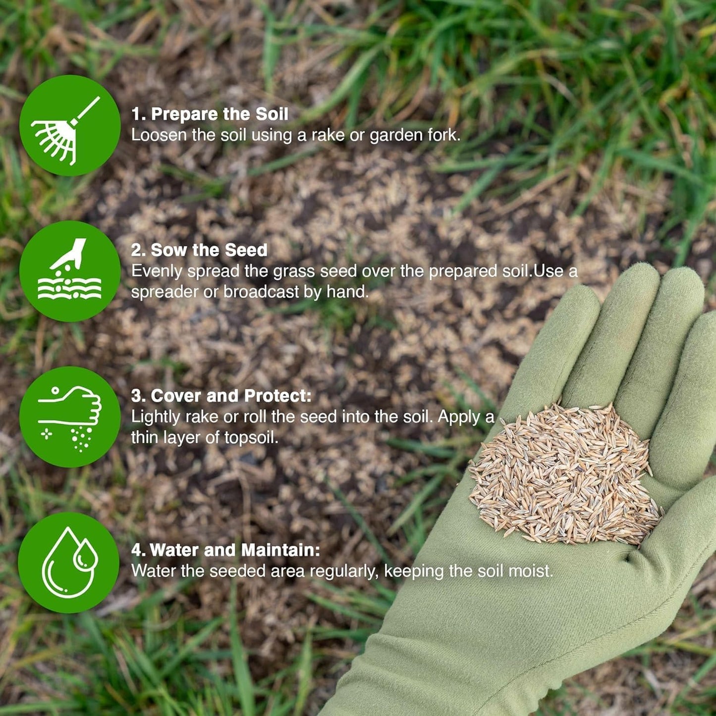 GroundMaster Premium Lawn Grass Seed – 1KG Hard Wearing & Fast Germination Grass Seeds for Family Lawns and Gardens, Coverage up to 60M2 for Overseeding, Tough Lawn Seed Mixture, Pet-Friendly