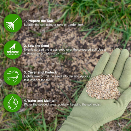 GroundMaster Premium Lawn Grass Seed – 1KG Hard Wearing & Fast Germination Grass Seeds for Family Lawns and Gardens, Coverage up to 60M2 for Overseeding, Tough Lawn Seed Mixture, Pet-Friendly