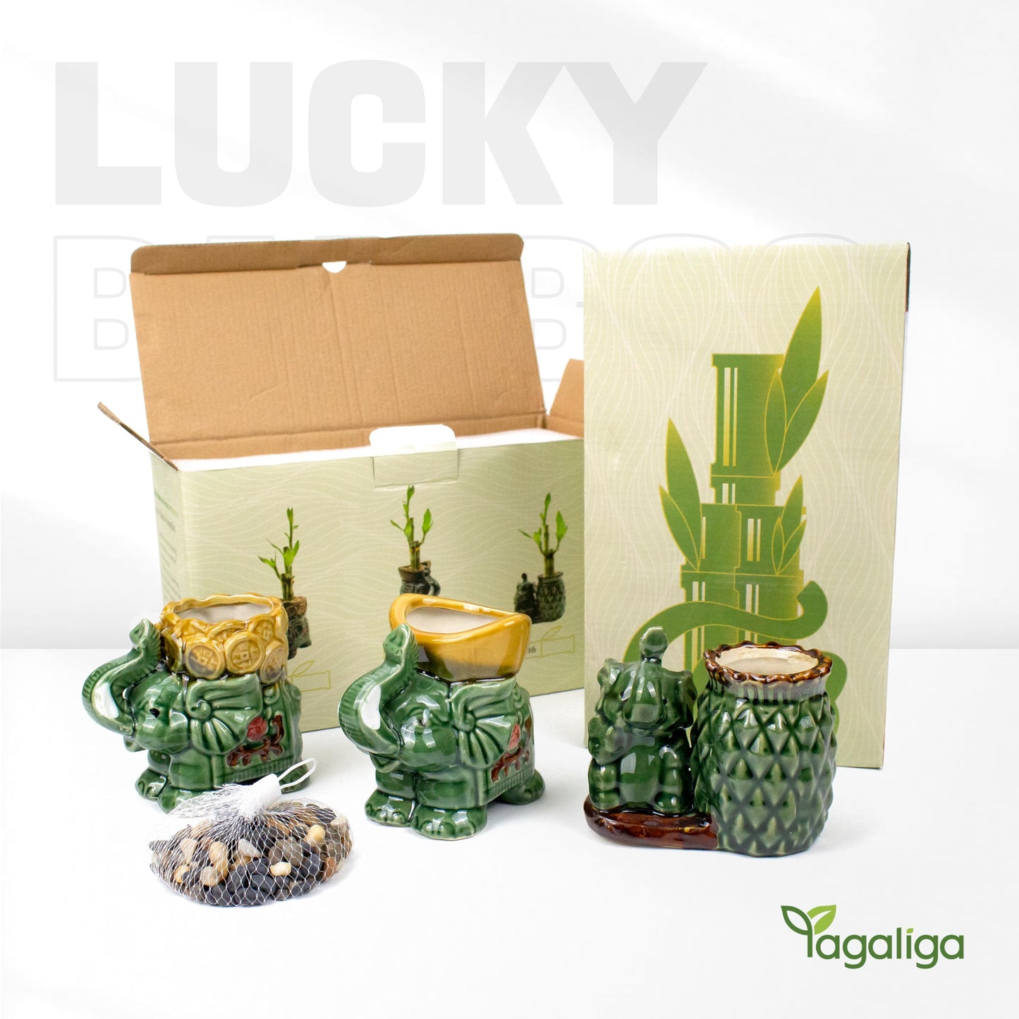 Yagaliga Lucky Bamboo 3-Stalk Set with Pebbles in Elephant Pineapple Pot – 6'' 6'' 8'' Live Houseplant for Good Fortune