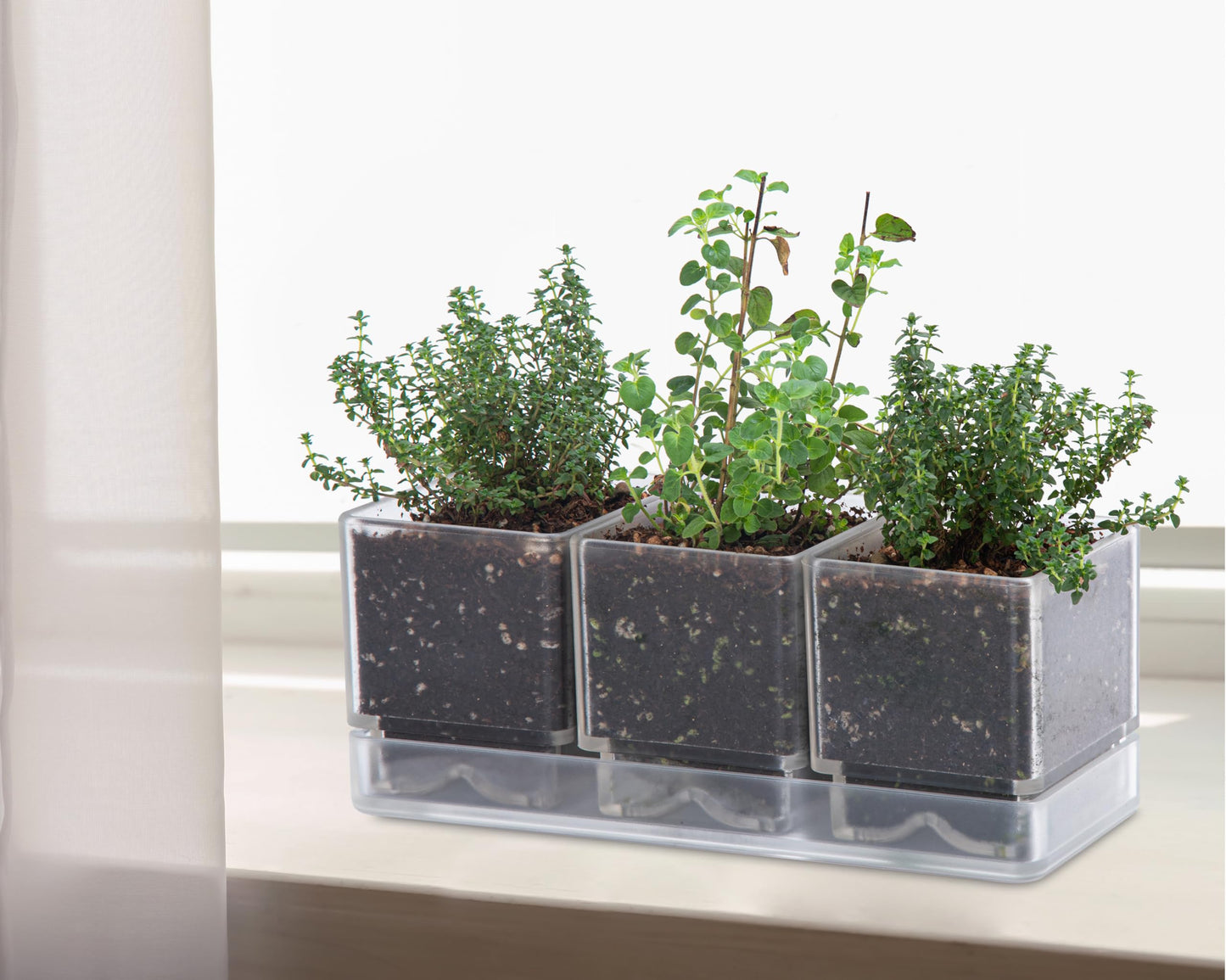 D'vine Dev Herb Garden Planter Set, Acrylic Plant Pots with Drainage and Saucer, Indoor Succulent Cactus Vegetable Pot for Windowsill, Garden Balcony, Clear, Set of 1, 76-V-D-1