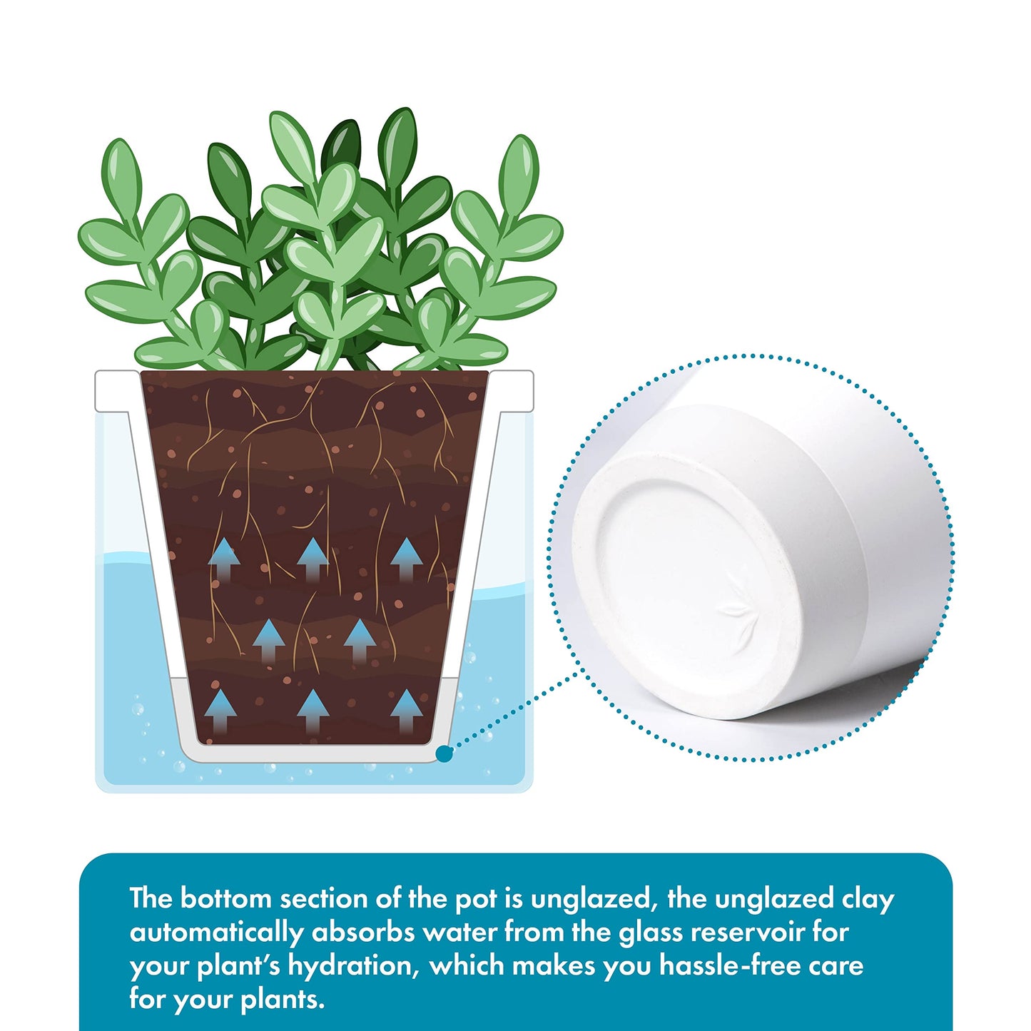 D'vine Dev 4 Inch Design Self Watering Planter for Indoor Plants, White Terracotta Pots with Cylinder Glass Cup, 37-X-A-2