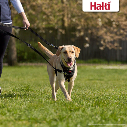 Halti Training Lead For Dogs, Double Ended Dog Training Lead for Halti Head Collar and No Pull Harness, Black Training Lead for Medium Dogs and Large Dogs, 14320B
