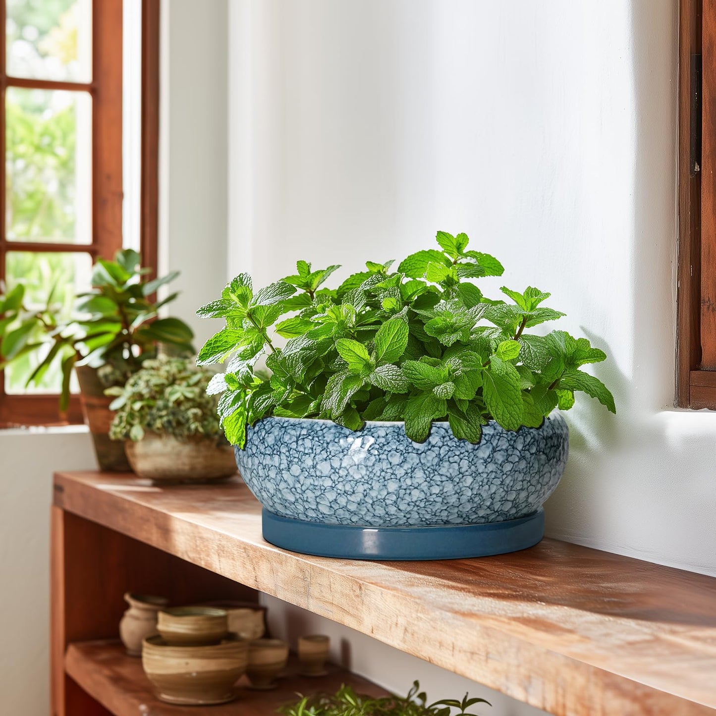 EPFamily Bonsai Pots 10 Inch - Ceramic Succulent Planters with Drainage Hole and Saucer, Succulent Pots for Indoor Outdoor, Shallow Flower Pot, Round Planter, Patio Decor, Housewarming Gifts, Blue