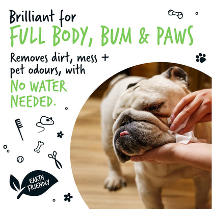 BUGALUGS Dog Wipes, 100% Plastic Free Biodegradable pet wipes for full body, eye wipes, ear wipes, bum & paws. 110 sensitive dog grooming wipes for dogs, puppy & cat grooming (Fragrance Free)