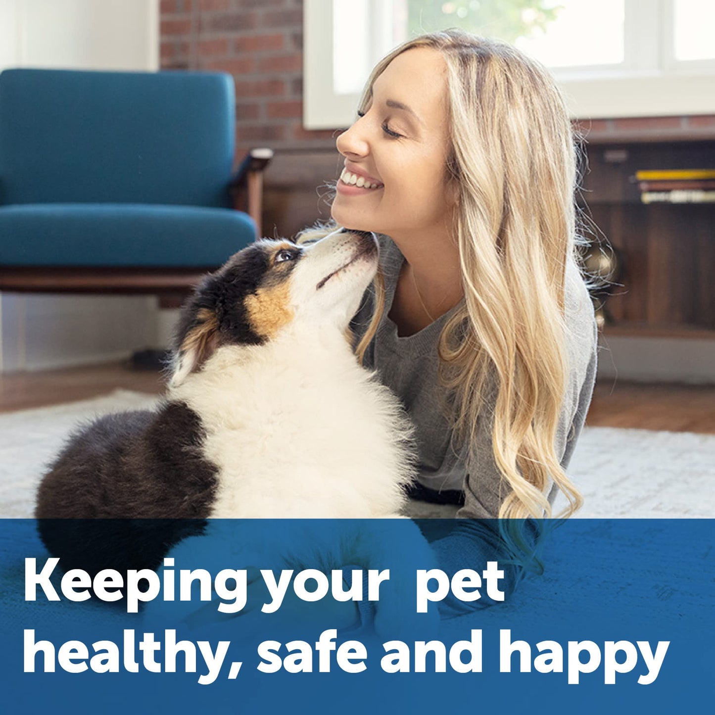 PetSafe, Collarless Ultrasonic Remote Trainer, Two Tone, Safe, Anti Bark, Black