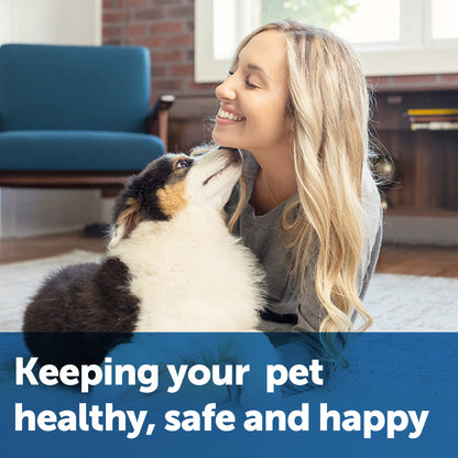 PetSafe, Collarless Ultrasonic Remote Trainer, Two Tone, Safe, Anti Bark, Black