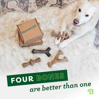 Benebone Indestructible Dog Chew Toy Gift Box for Aggressive Chewers with Wishbone, Fishbone, Stick & Zaggler, Long Lasting Boredom Breakers, 100% Real Flavours, For Small Dogs, Made in the USA.