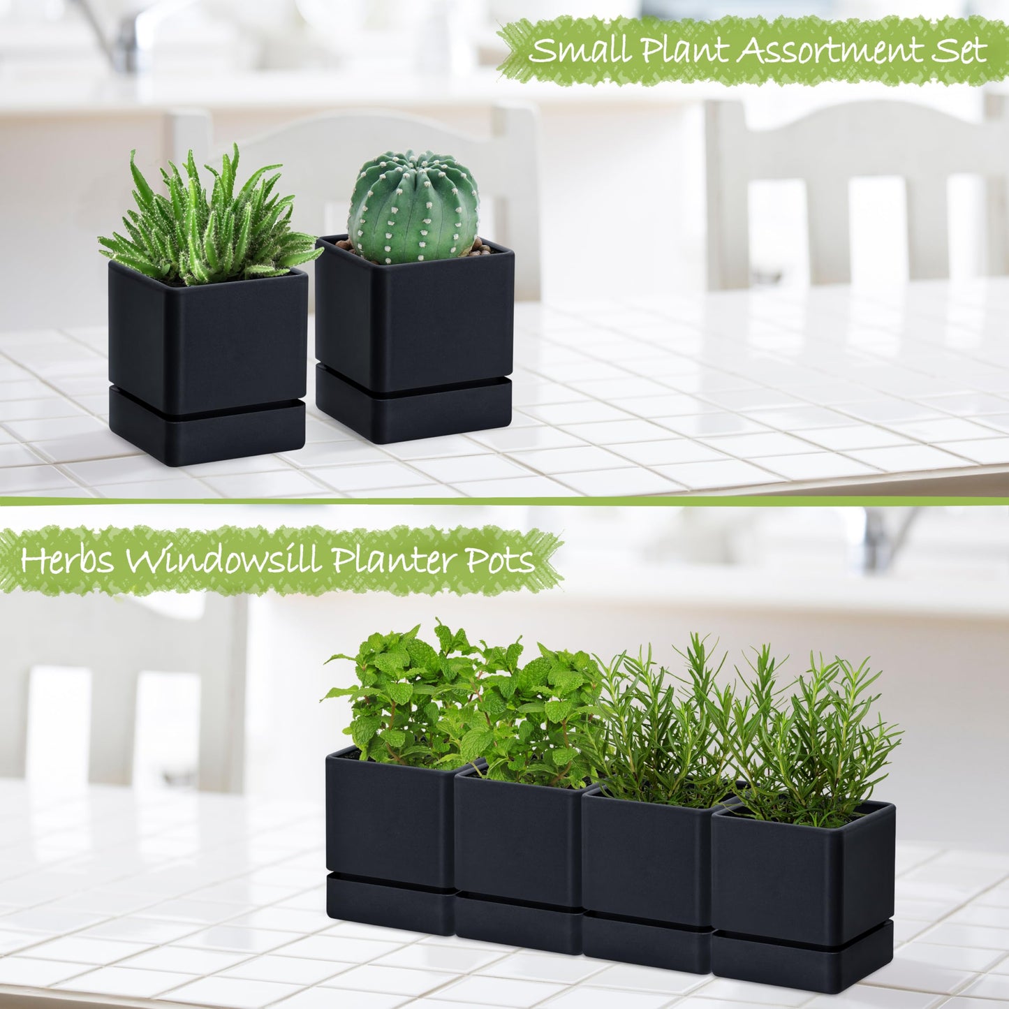 D'vine Dev 4 Inch Herb Planter Pot, Plastic Planter with Drainage Holes and Saucer, Modern Decorative Gardening Pot for Indoor Plants, Flowers, Herbs, Succulents, Black, Set of 4, 76-Y-B4-1