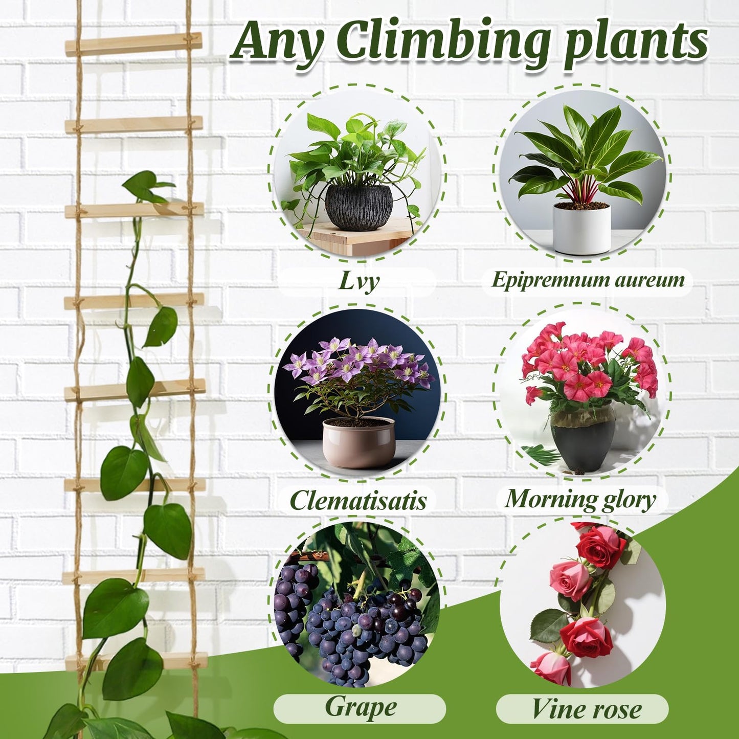 GOOOXIM Chain Trellis for Climbing Plants Indoor – Natural Wood Ladder Style Plant Support for Vines, Ideal for Pothos & Ivy, Stylish Modern Design for Home & Garden Use, Indoor/Outdoor