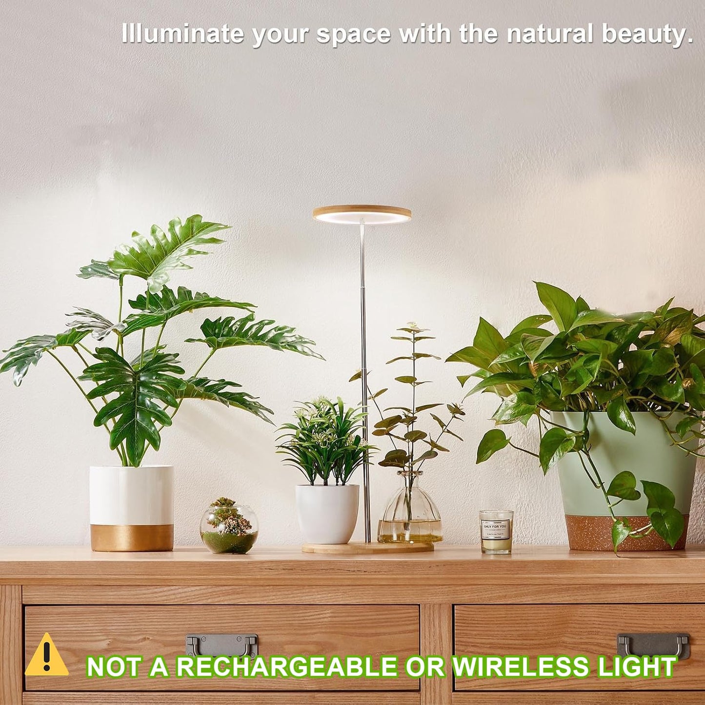 Plant Grow Light for Indoor Plant,Bamboo Mini LED Grow Light Garden,Height Adjustable,Automatic Timer with 8/12/16 Hours，1 Pack