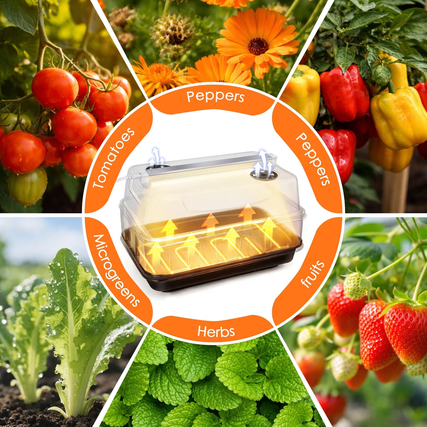 Saillong Seed Starter Tray with Grow Lights, Seedling Heating Tray with 15'' x 8.2'' Adjustable Height Humidity Domes, Plant Germination Propagation Kit for Planting Seeds, Mini Greenhouse Indoor