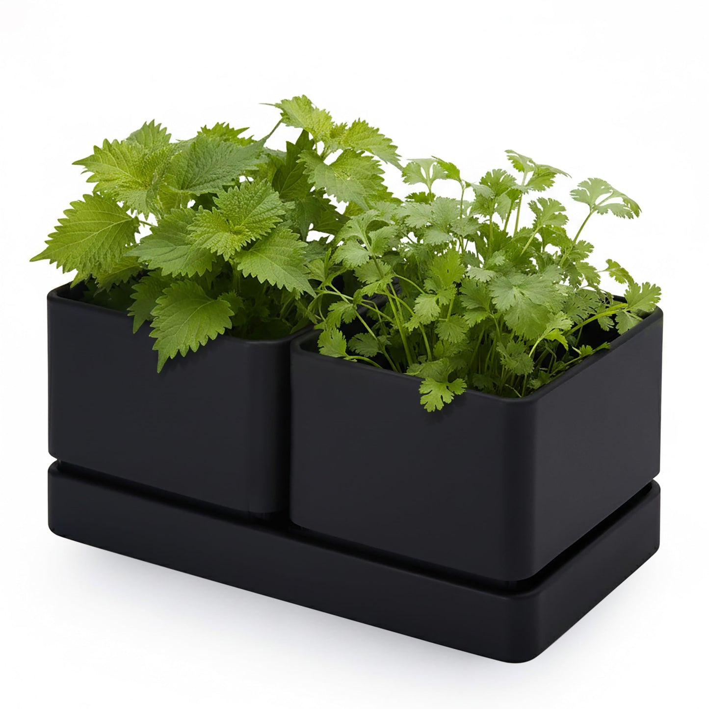 D'vine Dev Indoor Herb Garden Planter Set, Plastic Windowsill Plant Pots with Drainage and Saucer, Indoor Succulent Cactus Vegetable Pot for Balcony, Office, Garden, Black, Set of 1, 76-Q-B-1