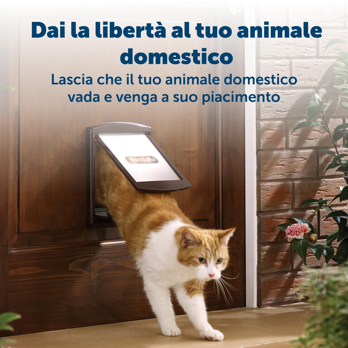 PetSafe - Original Staywell cat and Dog Flap, 2 Way Access in or Out - Indoor and Outdoor pet Door, Rigid, Closure Panel Included - Medium - White