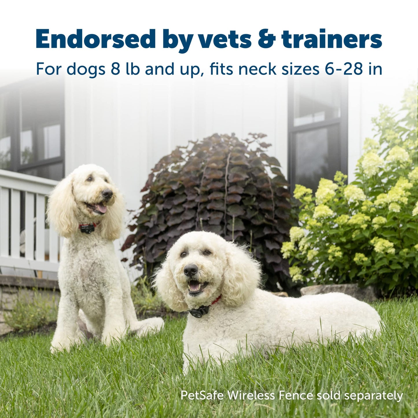 PetSafe Wireless Pet Containment System Receiver Collar for Dogs, Wireless Dog Collar Waterproof Material, Fits Small, Medium, Large Pets, Electric Fence Receiver Collars (Red and Black)