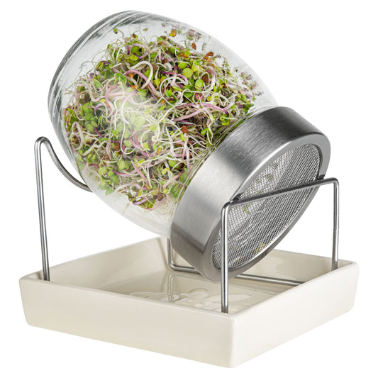 GEO Sprouting Jar - Italian Design - Glass Jar with Stainless Steel Screen, Rim, Stand on Ceramic Base