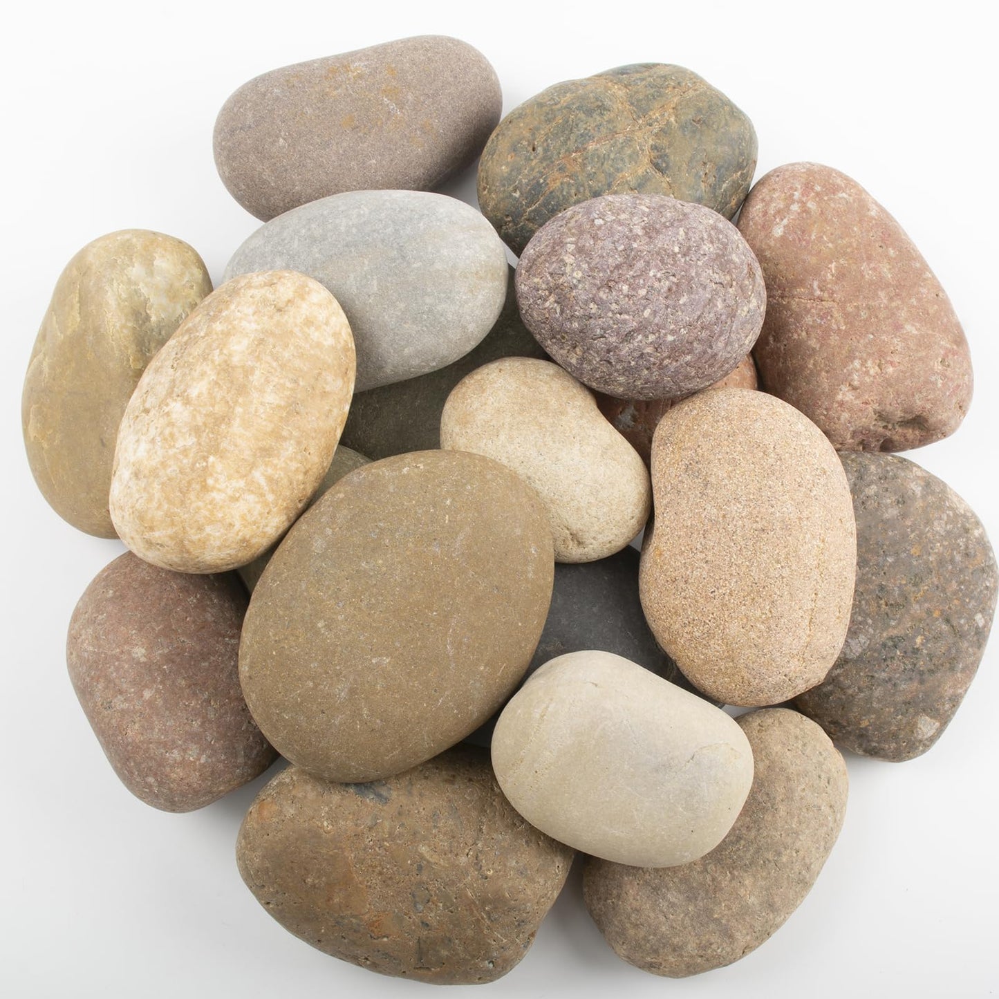 20 LBS Large Natural River Rocks – 2-3.5 Inch Unpolished Decorative Pebbles for Landscaping, Garden Paving, Fish Tanks, Planting, Crafting, Walkways, and Painting