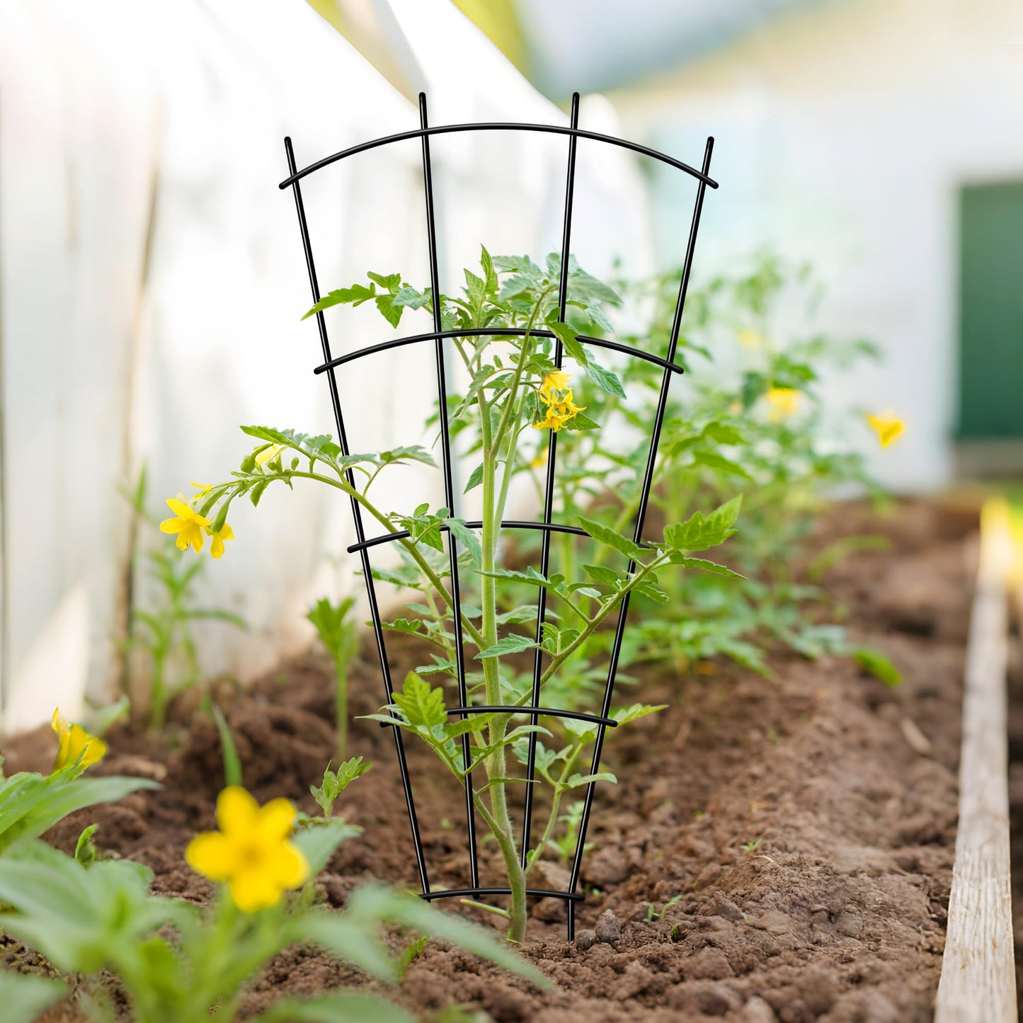 Thealyn 4 Pack 43" Metal Plant Trellis for Pots & Garden Beds, Rustproof Support for Indoor Outdoor Climbing Plants, Vines, Flowers, Fan Shaped, Black