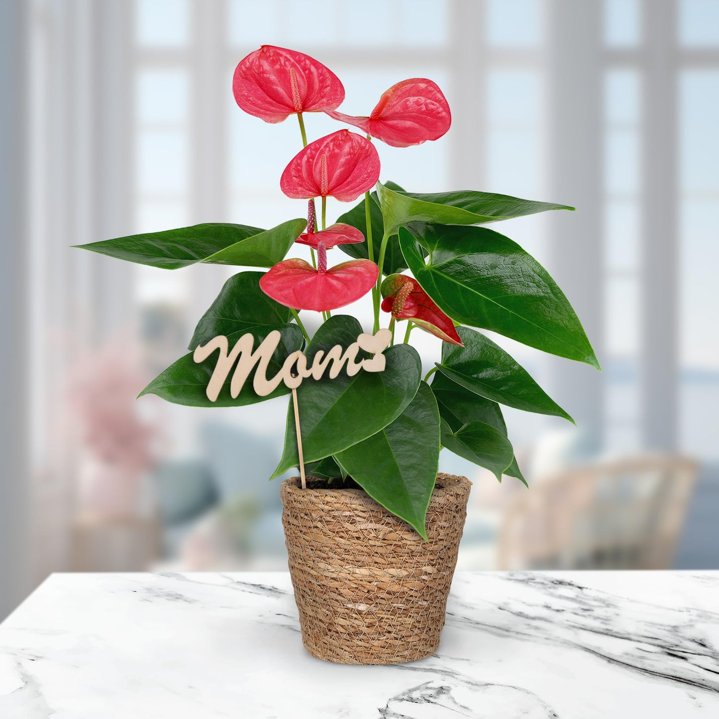 Green Circle Growers 5" Pink Anthurium in Seagrass Pot with Mom Pick, Live Indoor Plants, House Plant