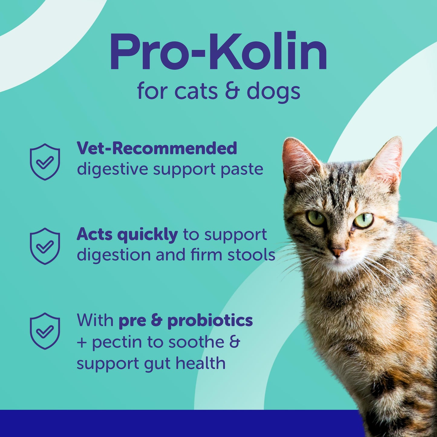 Protexin Pro-Kolin Digestive Support Paste for Cats & Dogs to Firm Poop, 30ml Syringe, Beef Flavour