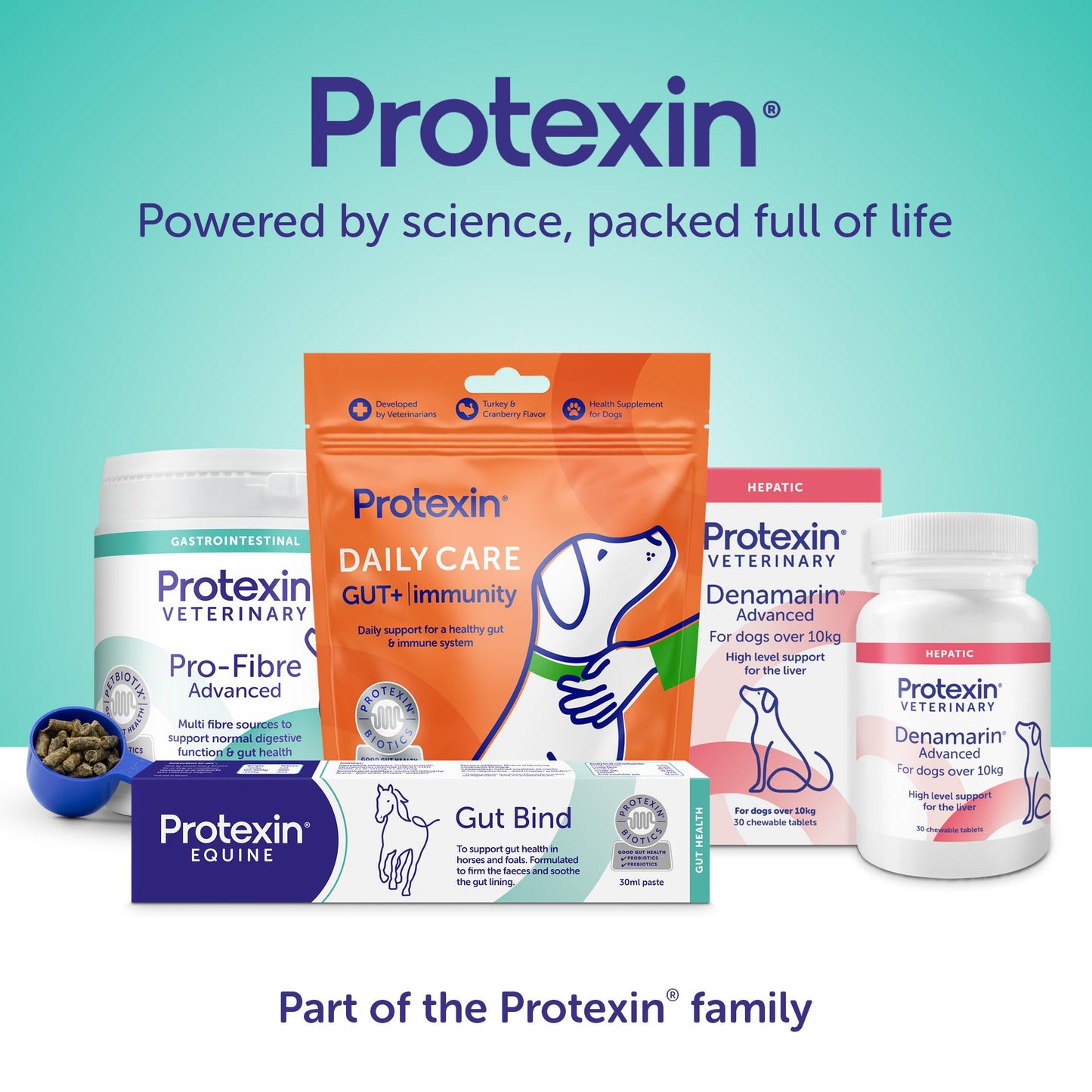 Protexin Pro-Kolin Digestive Support Paste for Cats & Dogs to Firm Poop, 30ml Syringe, Beef Flavour