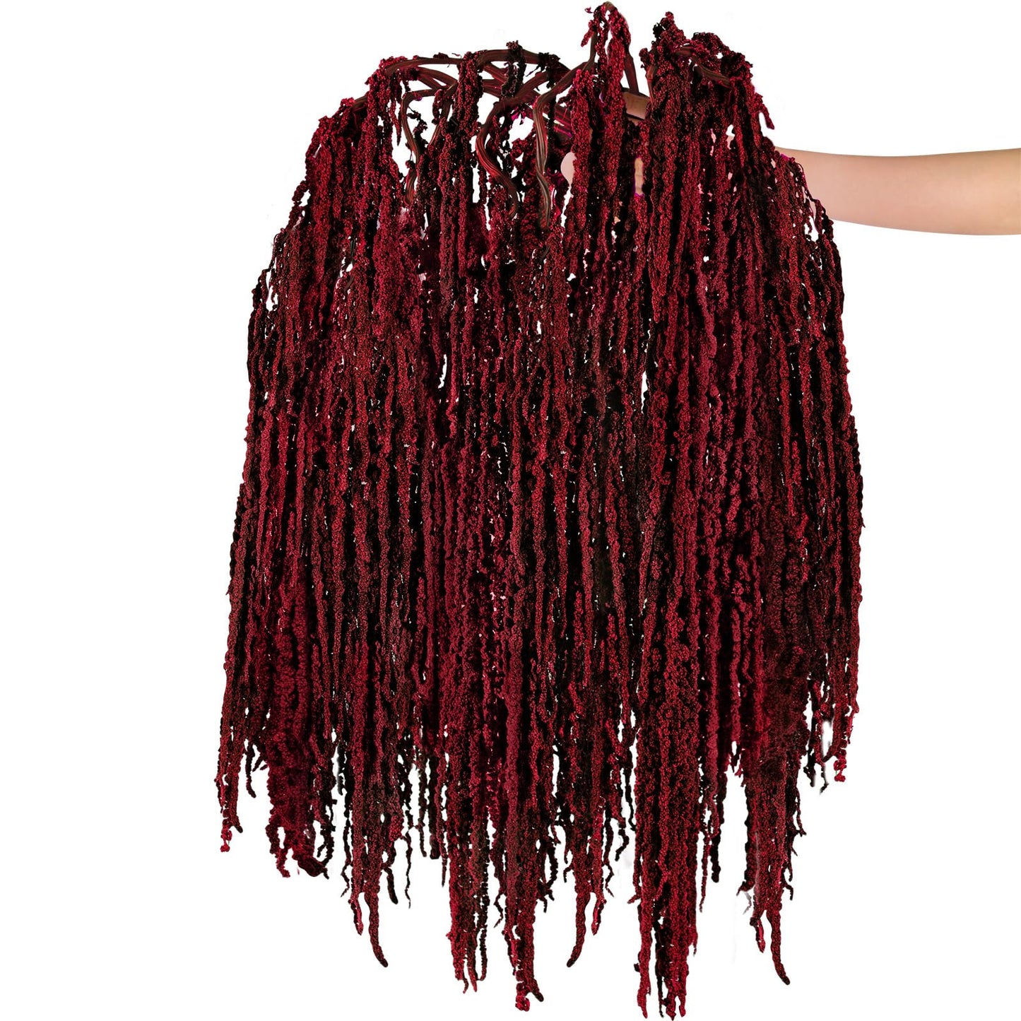 Suncalla 24 Pcs Brownish-red Spring Natural Dried Amaranthus Hanging Flowers Amaranthus Artificial Flowers for Wedding Arch Bouquet Floral Garland Wall Home Decoration (23 Inch)