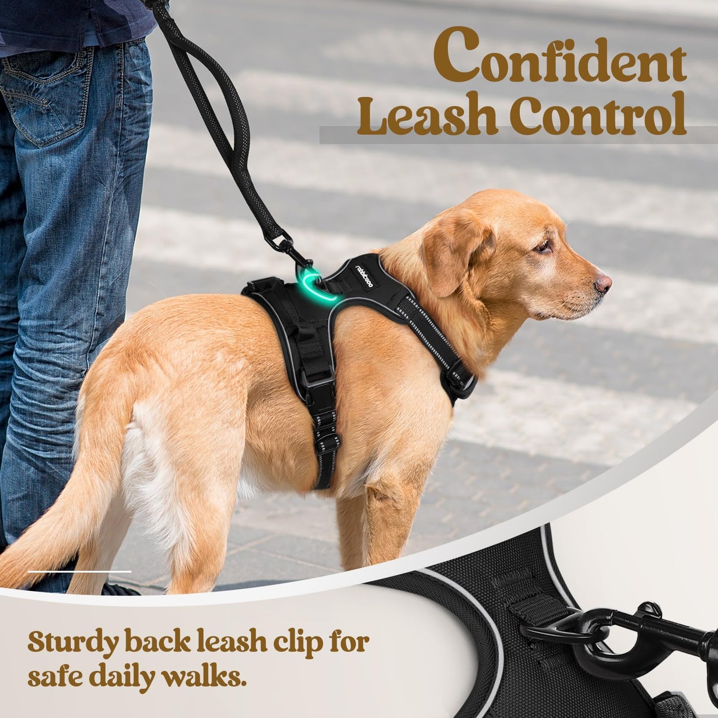 rabbitgoo Dog Harness No Pull with 2 Leash Clips, Adjustable Soft Padded, Reflective Oxford No Choke Pet Vest with Easy Control Handle for Medium Sized Dogs, Black, M