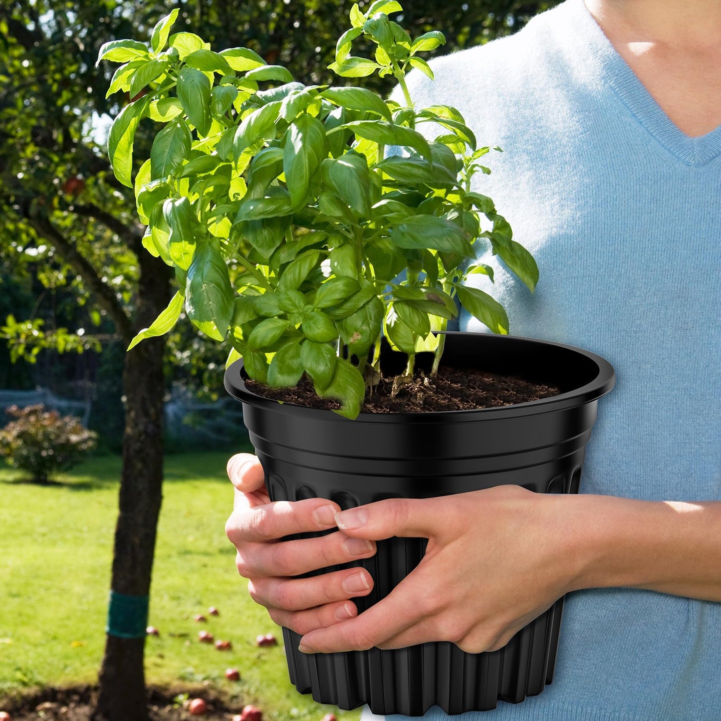 BeapTcely 50 Pcs 3 Gallon Planter Nursery Pots, Seed Starting Pot Plastic Flower Seedling Pots with Drainage Holes Flexible Plant Container for Garden Lawn Yard Plants Seedlings (50, 3 Gallon)