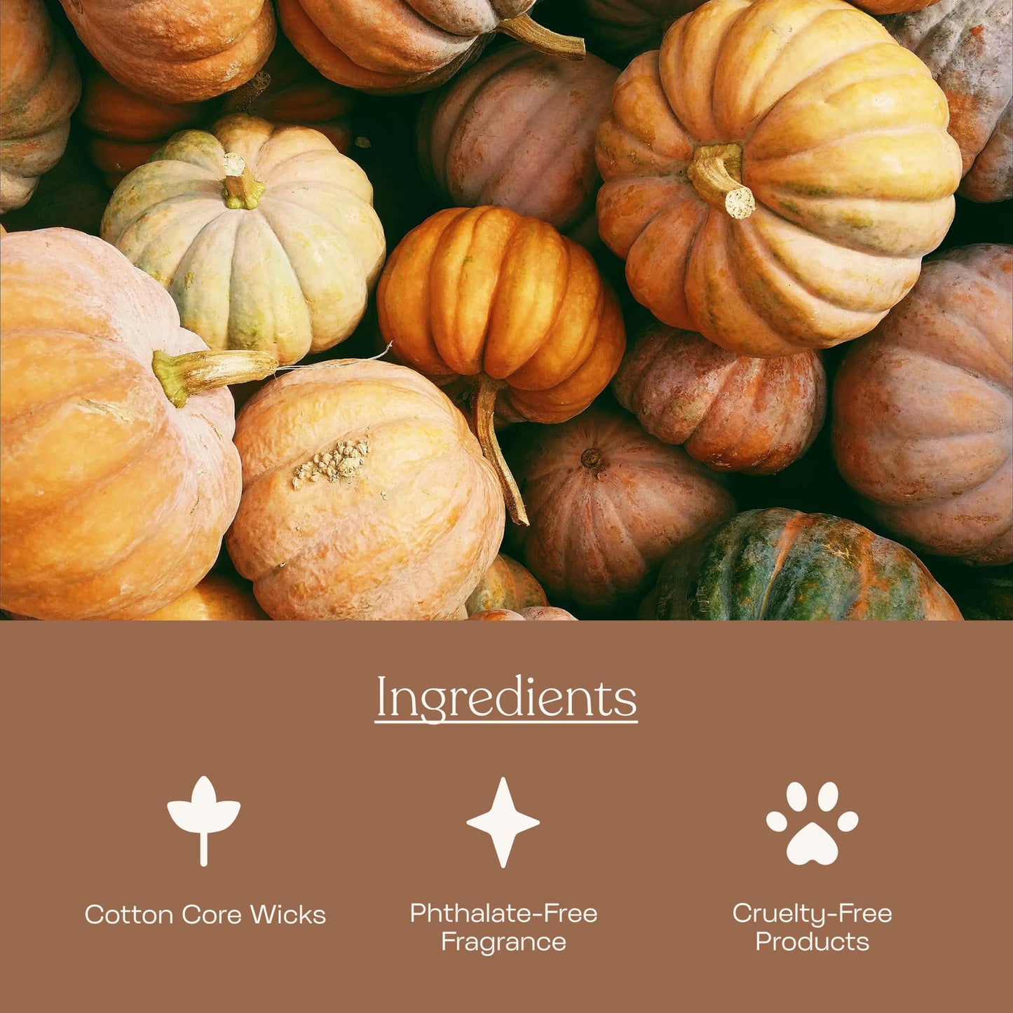 Anecdote Candles ‘Basic' Coconut Soy Wax Candle Jar | Premium Hand Poured & Long Burning | Pumpkin & Cardamom Scent | Phthalate-Free | for Home, Office, Gift - 7.8 Oz