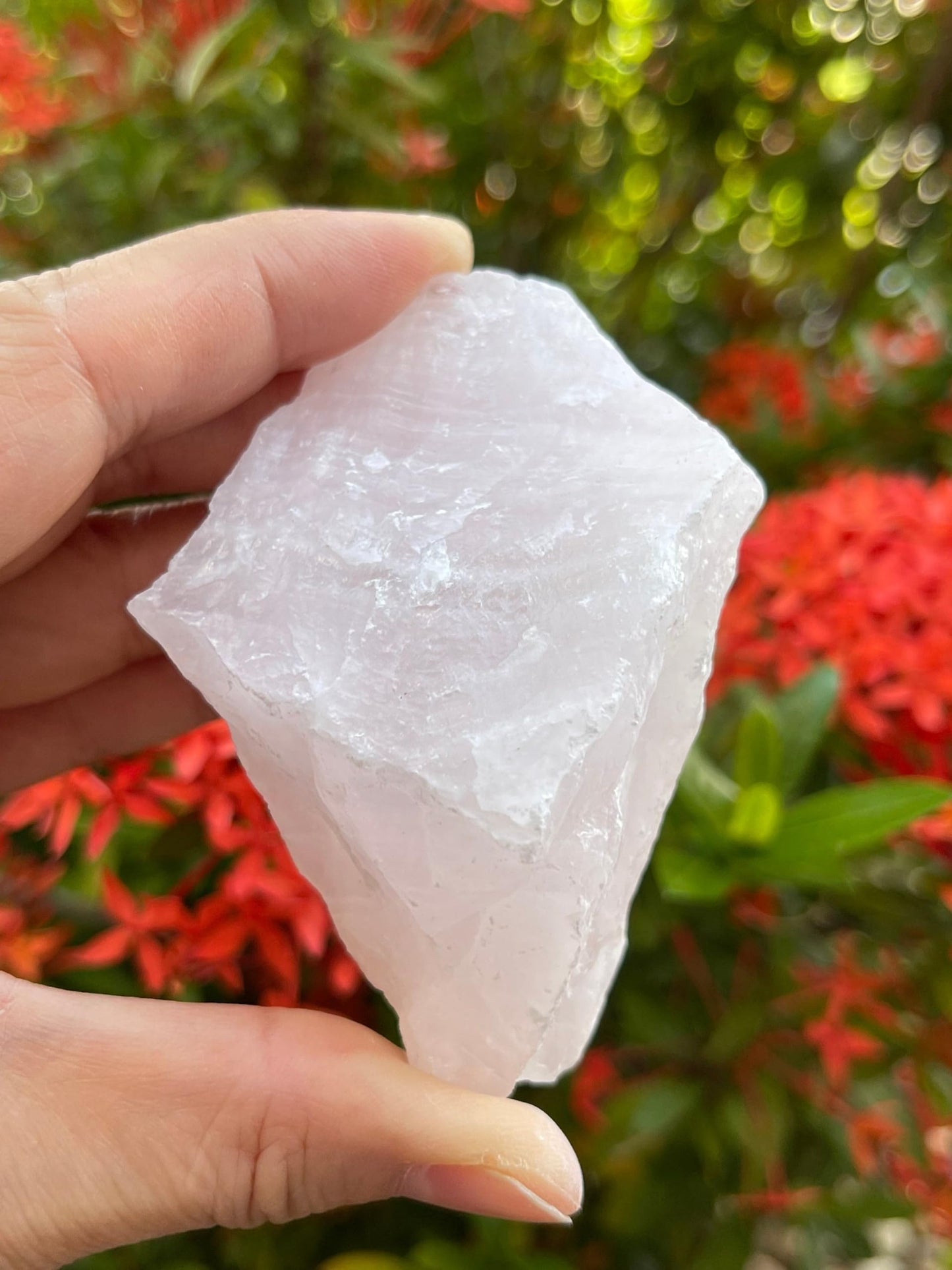 GAF TREASURES X-Large Pink Calcite Calcite Rough Natural Stones, Raw Calcite Pink Crystals (0.25-0.5 Pounds)