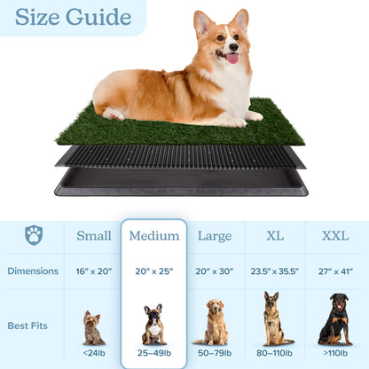 Artificial Grass Puppy Pee Pad for Dogs and Small Pets - 20x25 Reusable 3-Layer Training Potty Pad with Tray - Dog Housebreaking Supplies by PETMAKER, Green