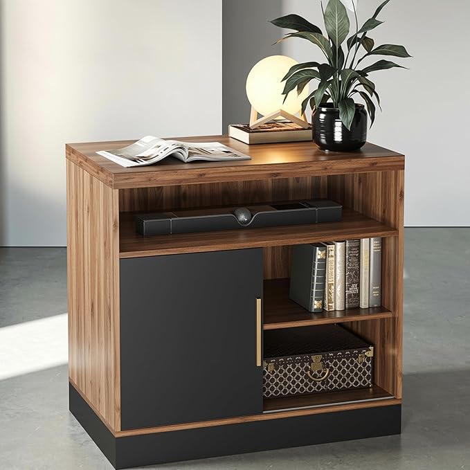 ModernMate Modern Wood Accent Storage Cabinet