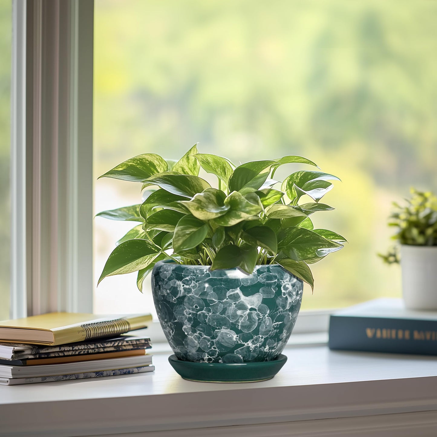 Thirtypot 6 Inch Planter - Ceramic Plant Pots Indoor with Drainage Hole and Saucer, Indoor Plant Pots for Flowers Plants, Round Modern Small Planter, Bedroom Decor, Plants Lover Gift, Bubble Green