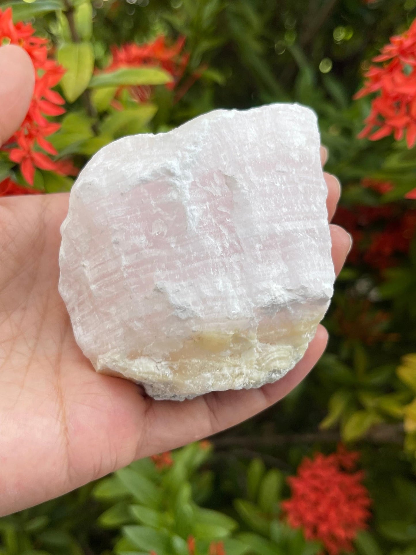 GAF TREASURES X-Large Pink Calcite Calcite Rough Natural Stones, Raw Calcite Pink Crystals (0.25-0.5 Pounds)