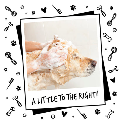 BUGALUGS Dog Shampoo with a Distinctive One in a million Fragrance - Natural dog grooming shampoo products for smelly dogs best puppy professional groom shampoo & conditioner (1x500ml)