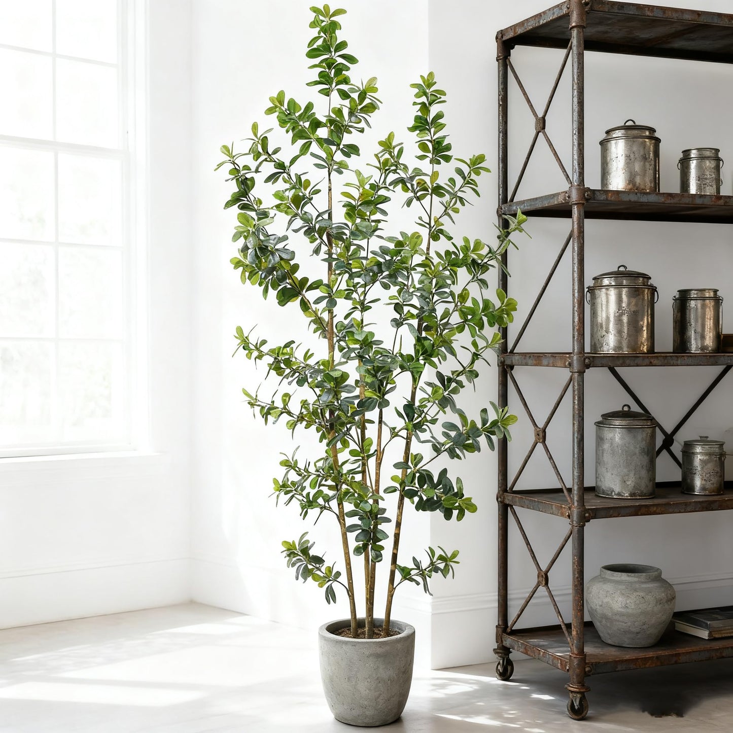 ZSENENT Fake Trees Premium 4 Main Trunks 7 ft Faux Black Olive Tree, Realistic Olive Trees Artificial Indoor, Low-Maintenance, Ideal Artificial Tree for Home Office Décor (Green)