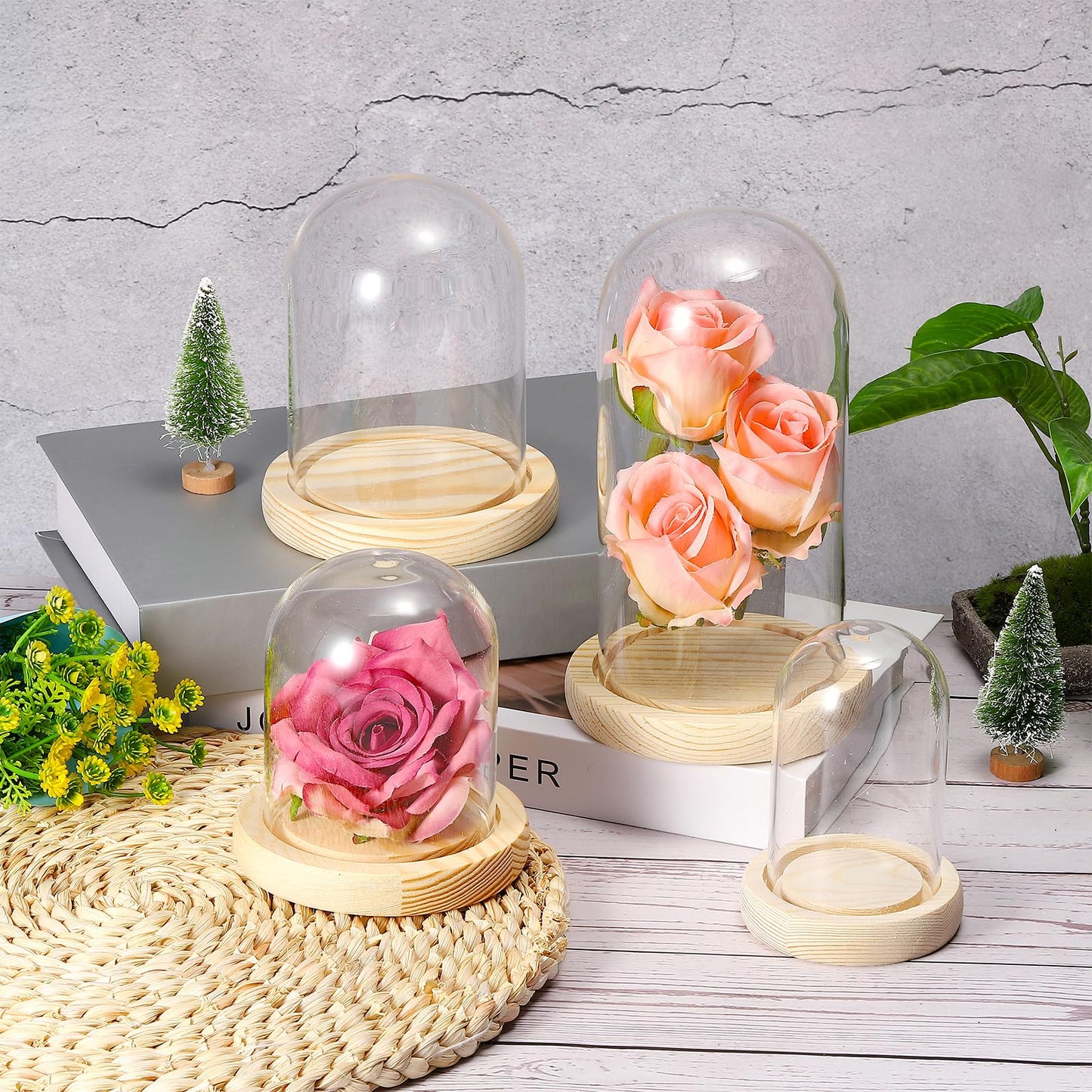 PATIKIL 3.9"x3.1" Clear Cloche Glass Dome, Glass Bell Jar Display Case Tabletop Centerpiece with Wooden Base for Plants Home Decor