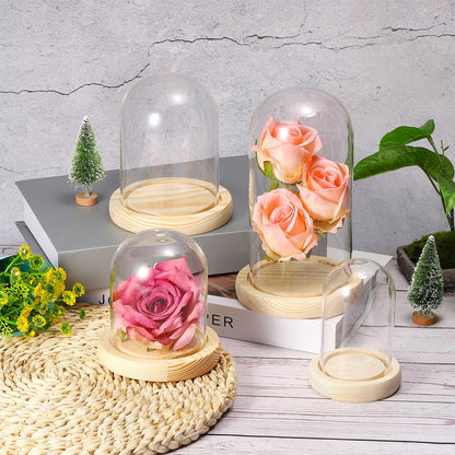 PATIKIL 3.9"x3.1" Clear Cloche Glass Dome, Glass Bell Jar Display Case Tabletop Centerpiece with Wooden Base for Plants Home Decor